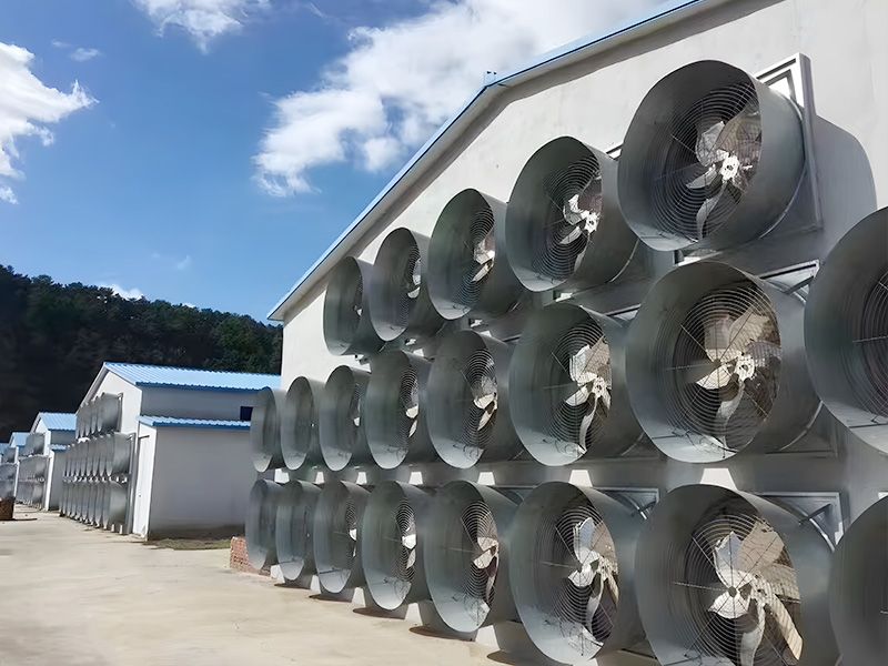 風(fēng)機